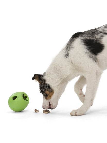 Jeu de réflexion pour chien