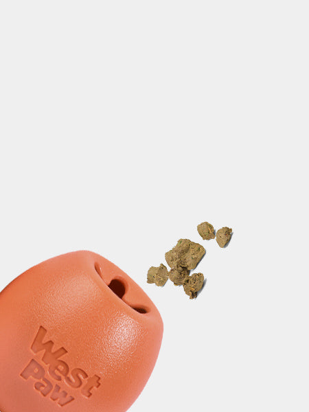 Jeu de réflexion pour chien