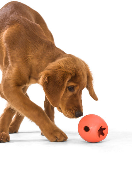 Jouet interactif puzzle pour chien - Rumbl Zogoflex - Orange - Eco-friendly