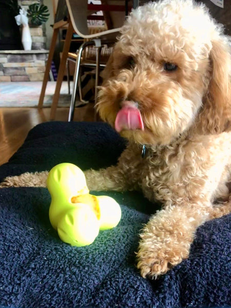 Jouet à garnir pour chien - Tux Zogoflex Bleu - Eco-friendly