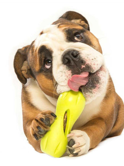Jeu de réflexion pour chien
