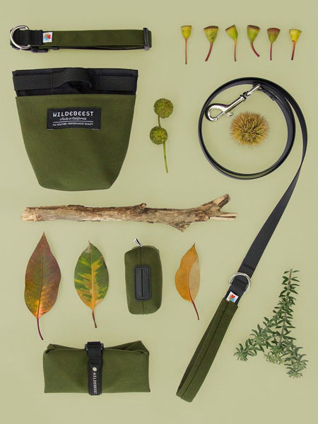 Distributeur de sacs à crottes pour chien - Vert - Wildebeest