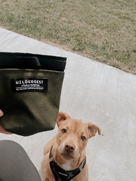 Pochette à friandises pour chien - Wildebeest - Bleu marine
