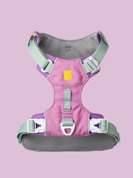 Harnais pour chien Alpha 360 - Mauve Mix - Woolly Wolf