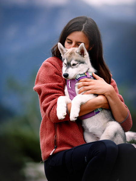 Harnais pour chien Alpha 360 - Mauve Mix - Woolly Wolf