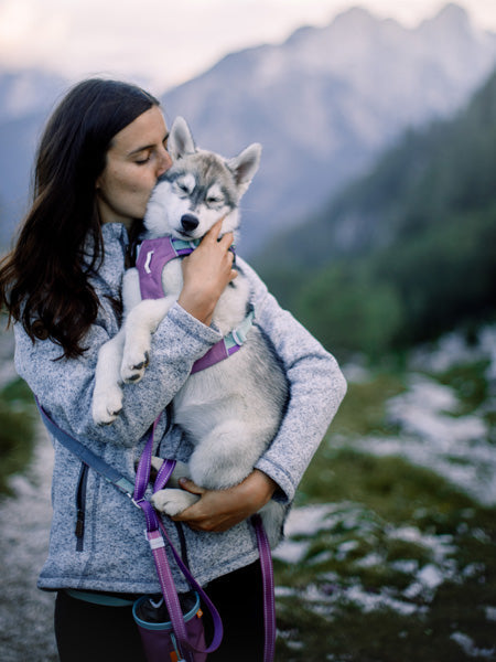 Harnais pour chien Alpha 360 - Mauve Mix - Woolly Wolf