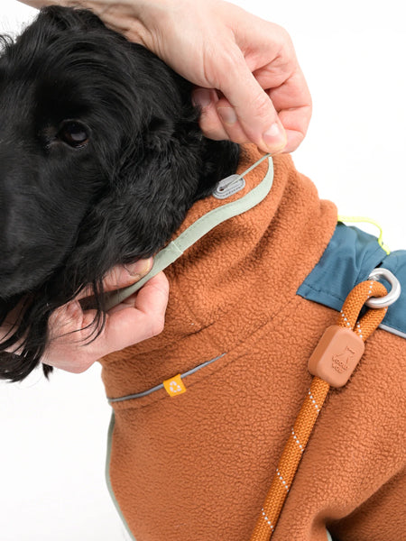 Polaire pour chien - Alpha 360 Fleece Pullover Terracotta Mix - Woolly Wolf