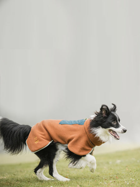 Polaire pour chien - Alpha 360 Fleece Pullover Terracotta Mix - Woolly Wolf