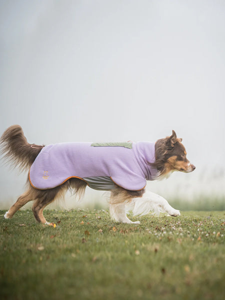 Polaire pour chien - Alpha 360 Fleece Pullover Lavender Mix - Woolly Wolf