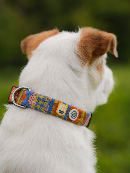 Collier original pour chien motif Nightless Night - Woolly Wolf