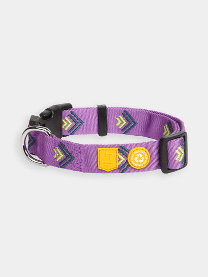 Collier original pour chien motif Northern Lights - Woolly Wolf