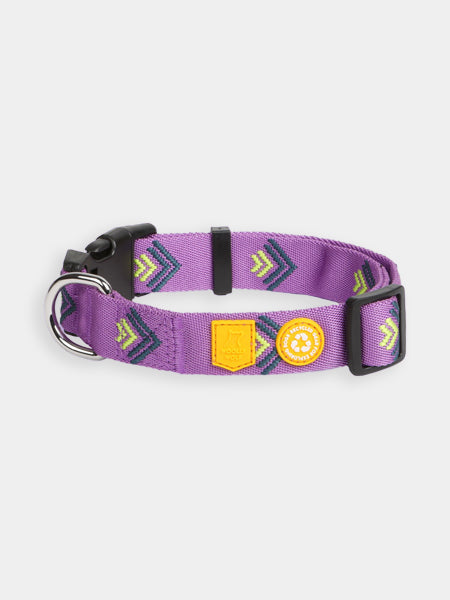 Collier original pour chien motif Northern Lights - Woolly Wolf