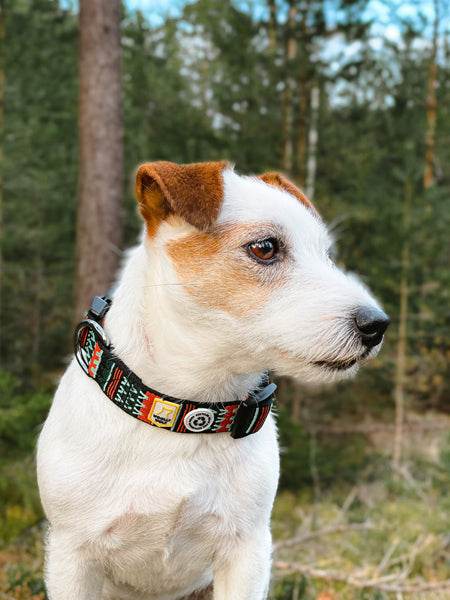 Collier original pour chien motif Woodland - Woolly Wolf