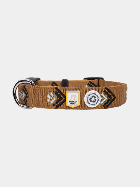 Collier pour chien