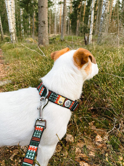 Collier original pour chien motif Woodland - Woolly Wolf