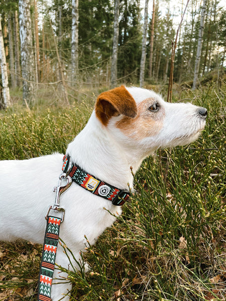 Collier original pour chien motif Woodland - Woolly Wolf