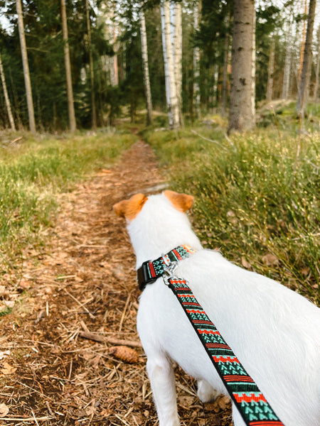Laisse originale pour chien motif Woodland - Woolly Wolf