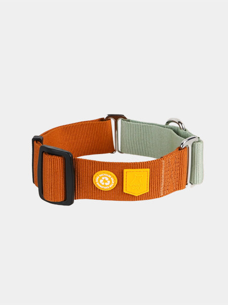 Collier martingale pour chien - Color Block Terracotta - Woolly Wolf