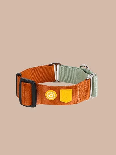 Collier martingale pour chien - Color Block Terracotta - Woolly Wolf