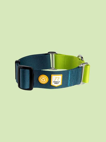 Collier martingale pour chien - Color Block Deep Teal - Woolly Wolf