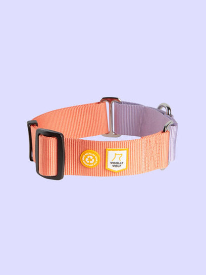 Collier martingale pour chien - Color Block Salmon Pink- Woolly Wolf