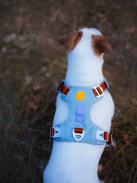 Harnais pour chien Alpha 360 - Glacier Green Mix - Woolly Wolf
