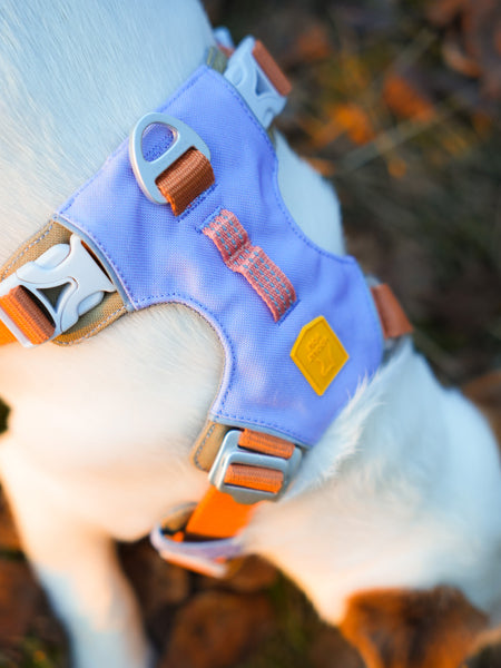 Harnais pour chien Alpha 360 - Lavender Mix - Woolly Wolf
