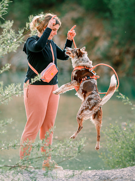 Harnais pour chien Roam Harness - Salmon Pink - Woolly Wolf