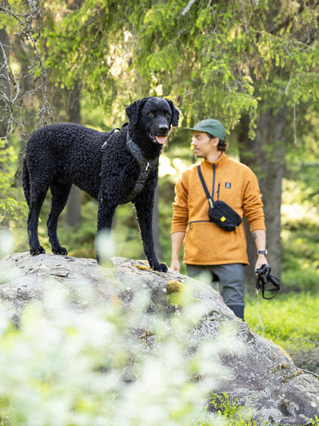 Harnais pour chien Roam Harness - Black Ripple - Woolly Wolf