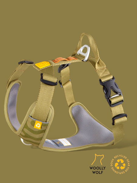 Harnais pour chien Roam Harness - Green Ripple - Woolly Wolf