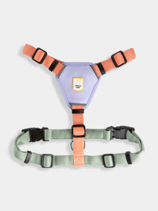 Harnais pour chien