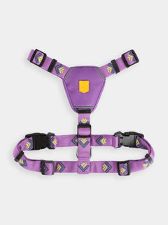 XS (42 à 56 cm)