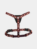 Harnais pour chien
