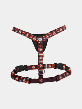 Harnais pour chien