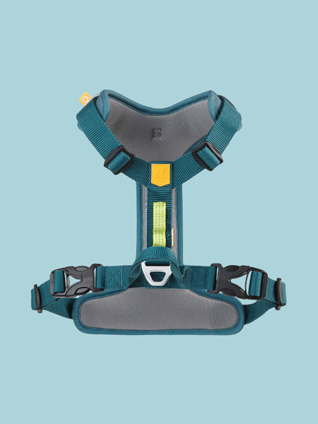 Harnais pour chien Roam Harness - Deep teal - Woolly Wolf