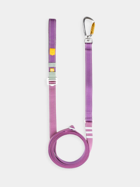 Laisse ajustable multi-position pour chien - Color Block Mauve Mix