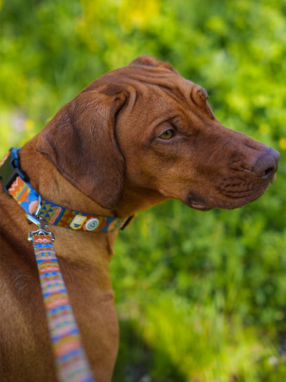 Laisse originale pour chien motif Nightless Night - Woolly Wolf