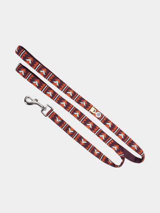 Laisse pour chien