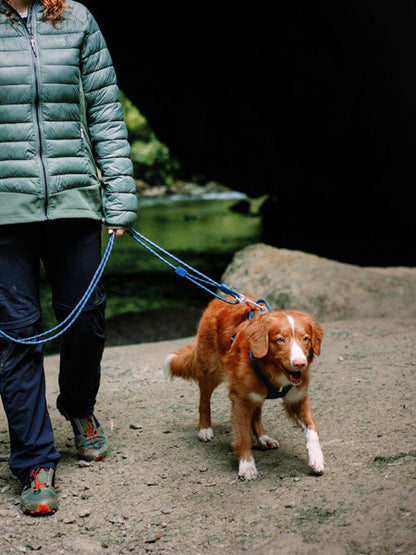 Longe en corde recyclée pour chien - Deep teal - Woolly Wolf