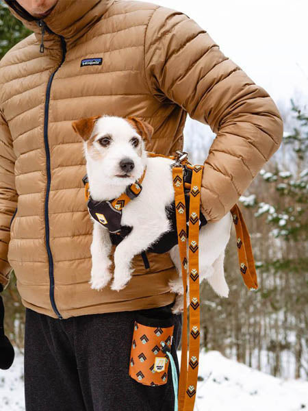 Laisse originale pour chien motif Sea to Summit - Woolly Wolf