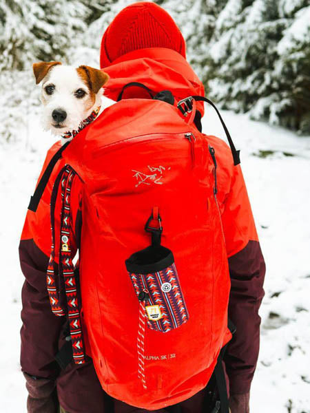 Sac à friandises pour chien motif Polar Night - Woolly Wolf