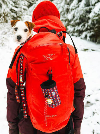 Laisse originale pour chien motif Polar Night - Woolly Wolf