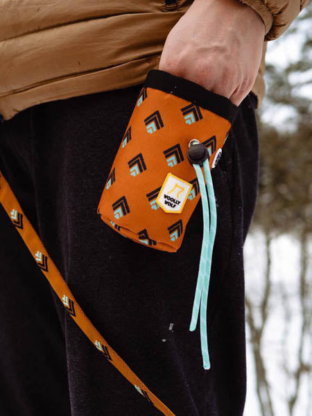 Sac à friandises pour chien