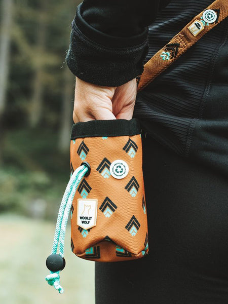 Sac à friandises pour chien