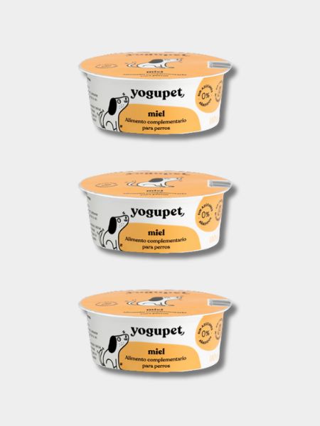 Yaourt sans lactose pour chien