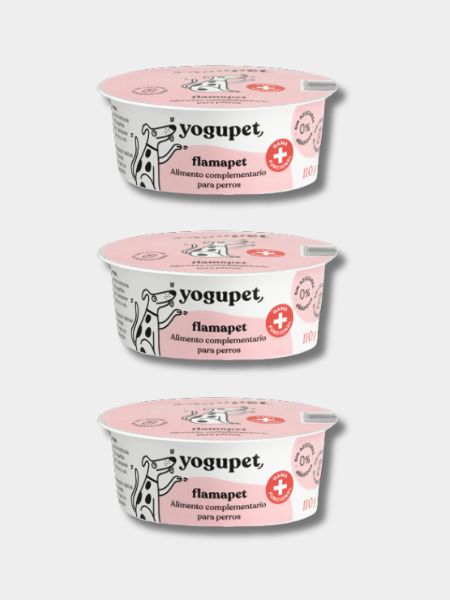 Yaourt sans lactose pour chien - Articulation 🦵 - Yogupet