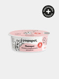 Yaourt sans lactose pour chien