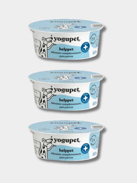 Yaourt sans lactose pour chien