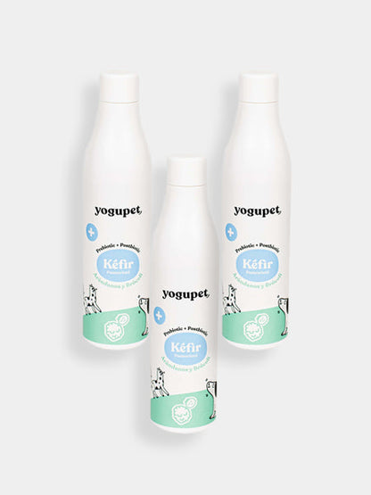 Kéfir pour chien et chat