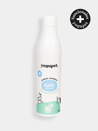 Kéfir pour chien et chat - myrtille et brocoli